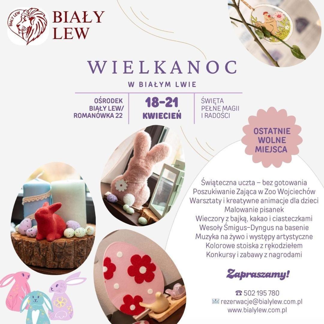 Wojciechow Osrodek Bialy Lew住宿加早餐旅馆 外观 照片